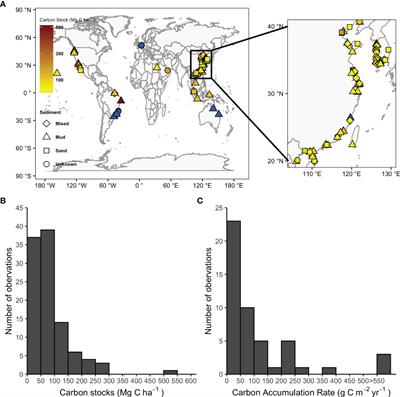 Tidal Flats as a Significant Carbon Reservoir in Global Coastal Ecosystems